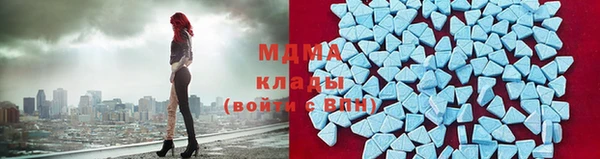 прущие грибы Соль-Илецк