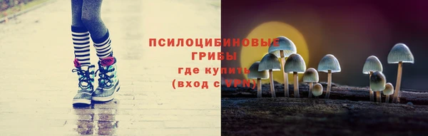 2c-b Михайлов