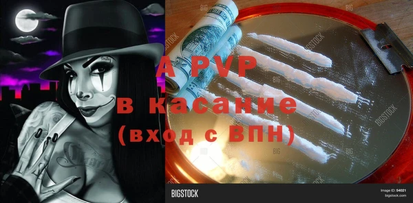 крисы Михайловск